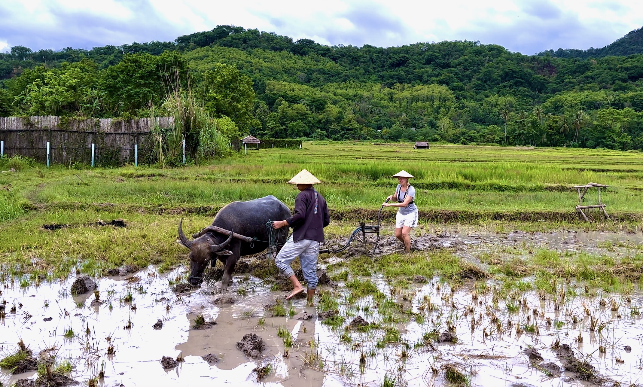 3 Days in Luang Prabang: An unforgettable experience!